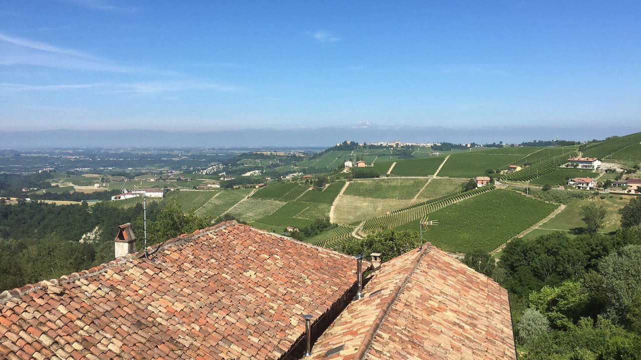 Photo of Others in Monforte d'Alba