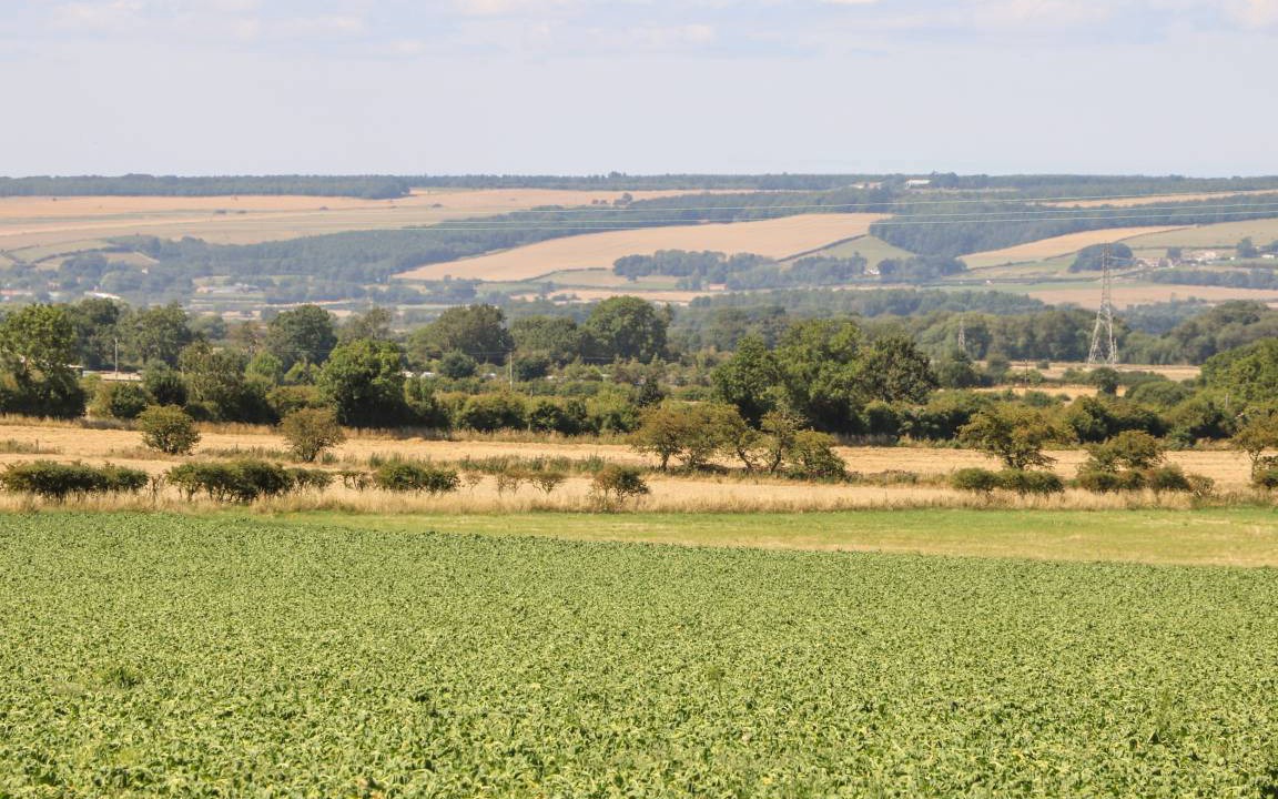 Photo of Others in West Heslerton