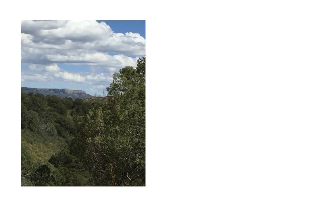 Photo of Others in Raton