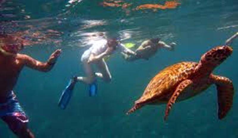 Photo of Others in Gili Trawangan