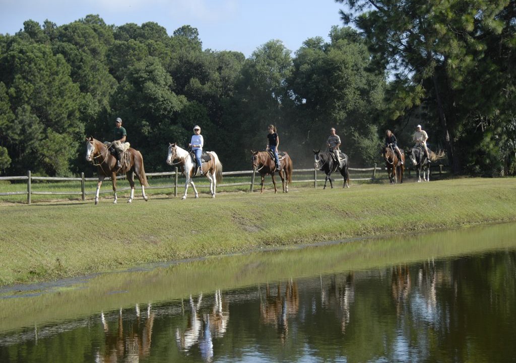 Photo of Others in Baynard Oaks