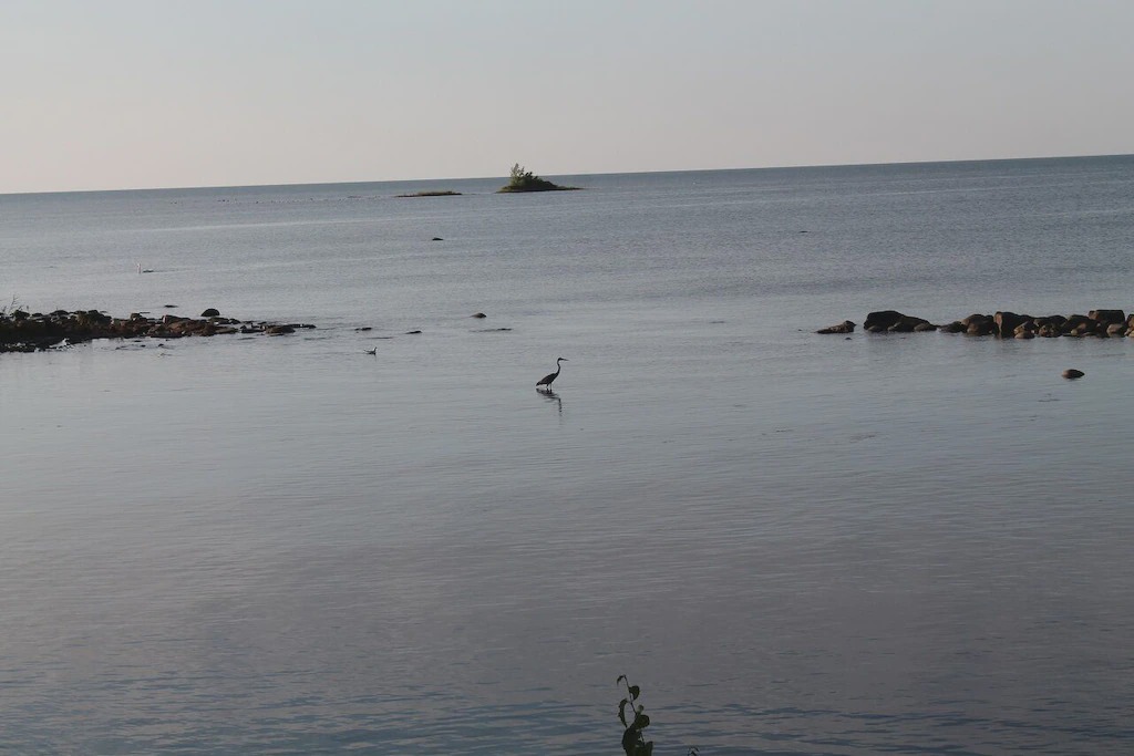 Photo of Others in Port Hope