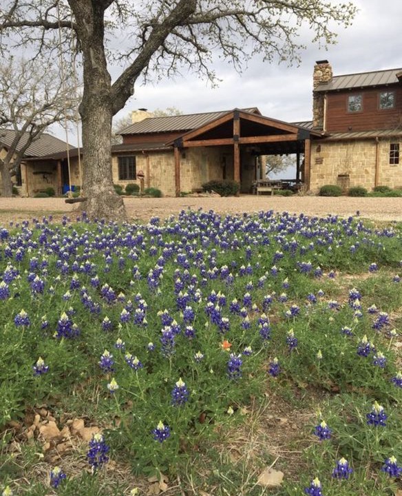 Photo of Buildings in Palo Pinto