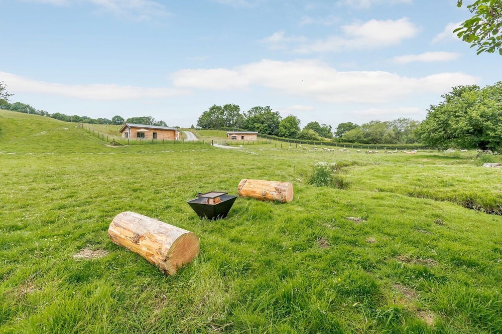 Photo of Outdoor in Caersws