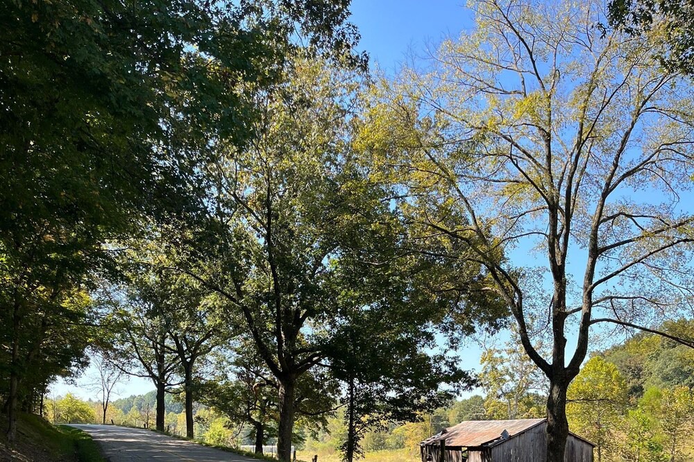 Photo of Outdoor in Dunbar