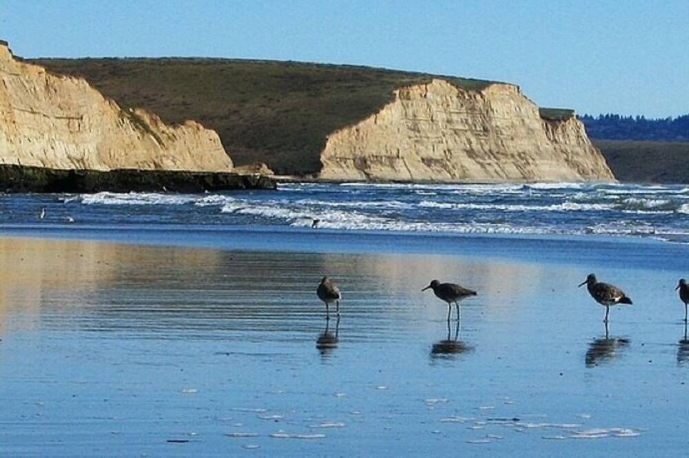 Photo of Others in Point Reyes Station