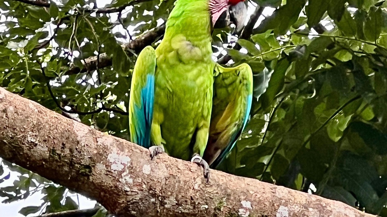 Photo of Outdoor in Chiguata