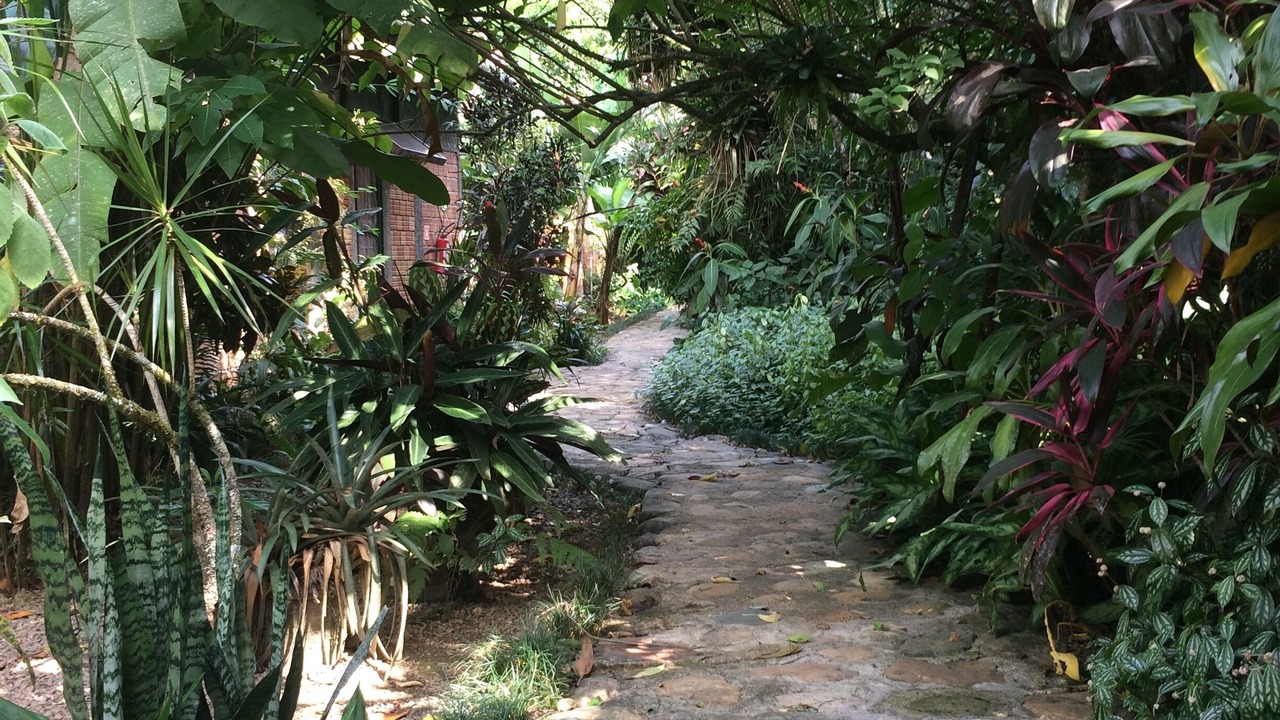 Photo of Outdoor in Morretes
