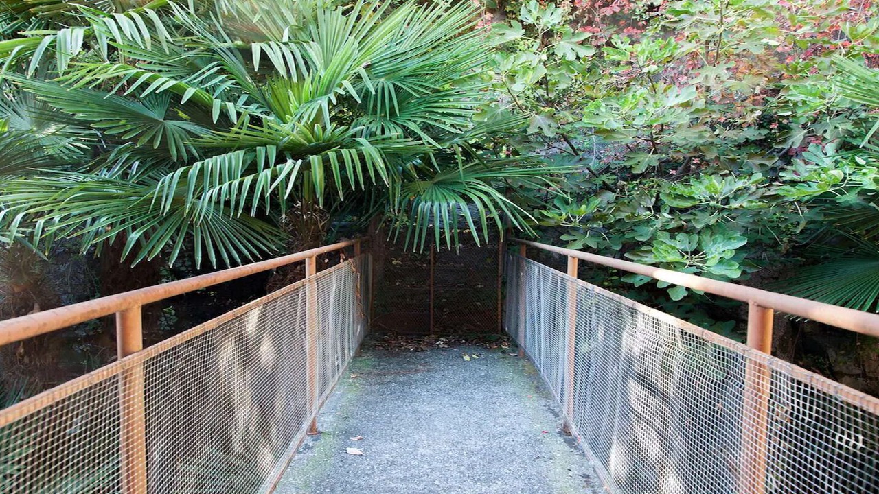 Photo of Outdoor in Carate Urio