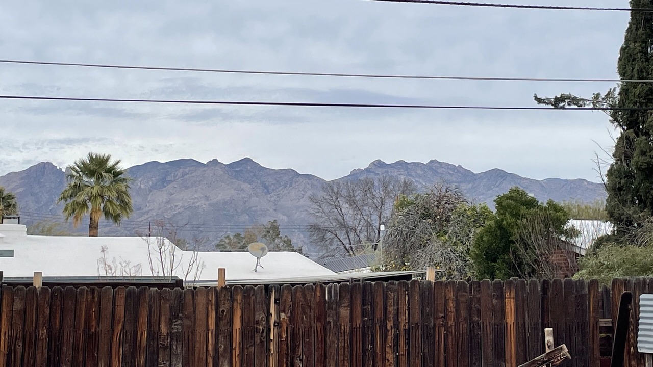 Photo of Others in Palo Verde