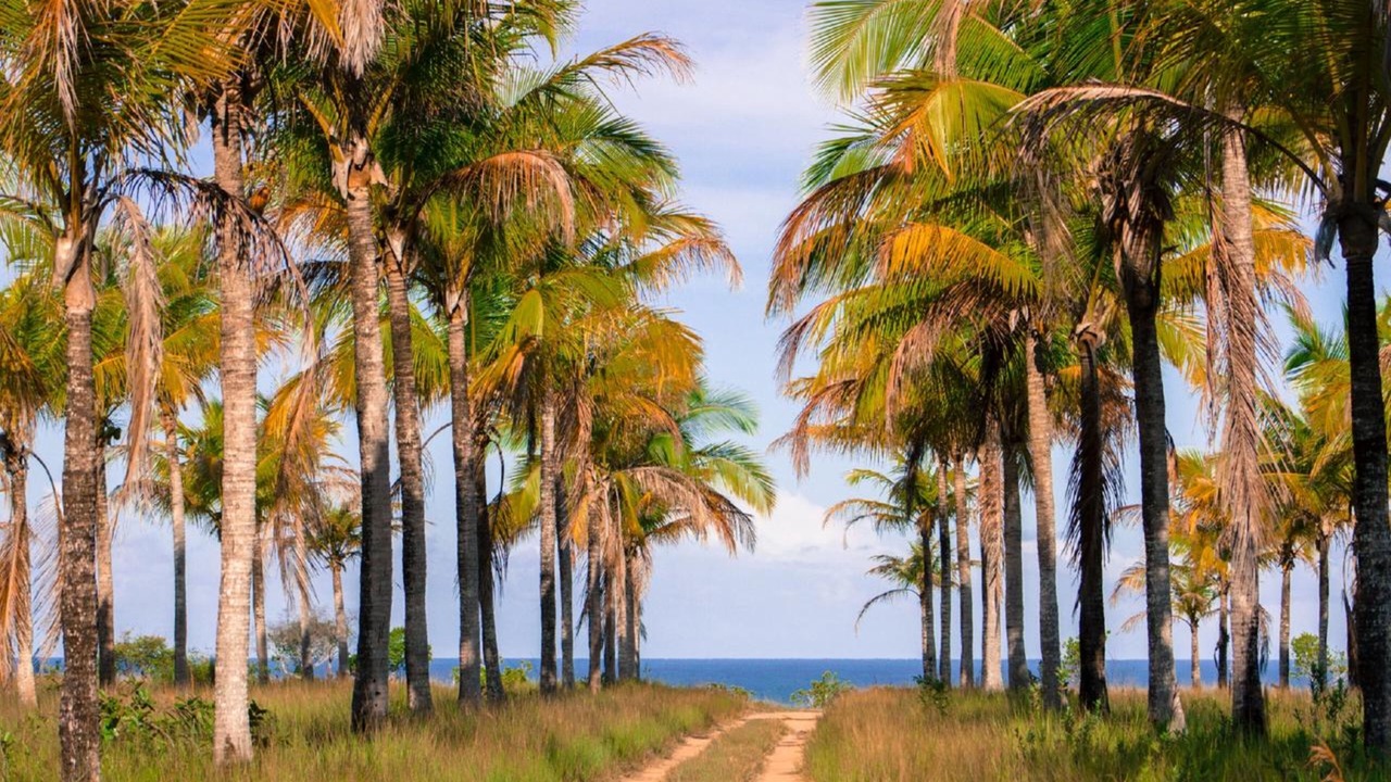 Photo of Outdoor in Curuipe