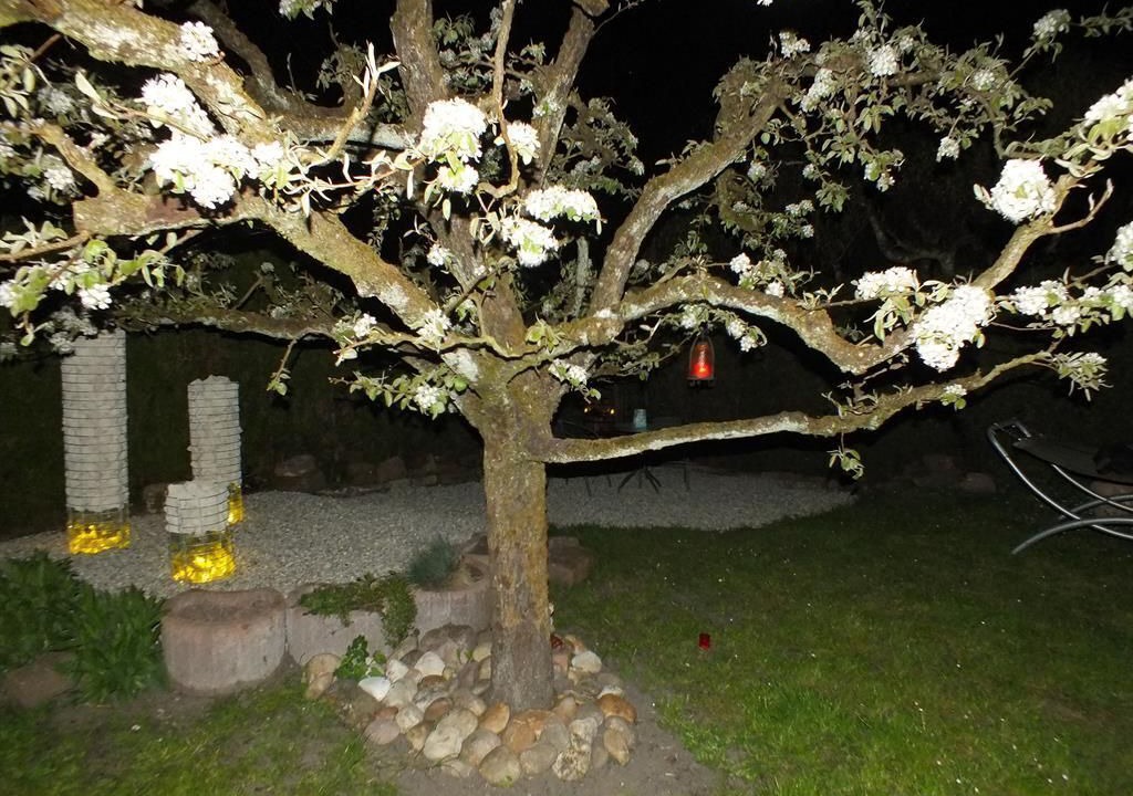 Photo of Outdoor in Steinfeld