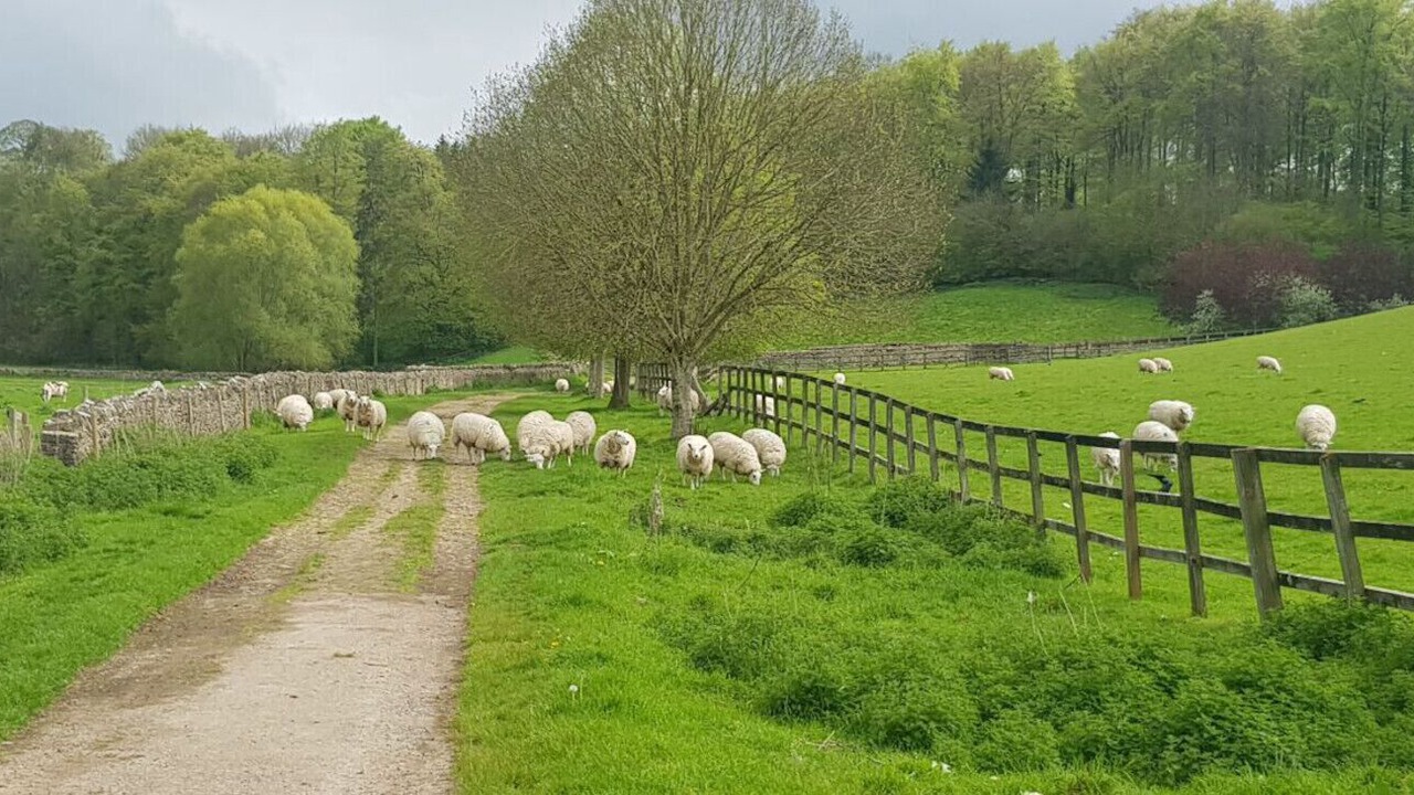 Photo of Others in Bibury