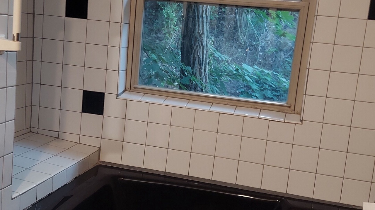 Photo of Others in Wheeler