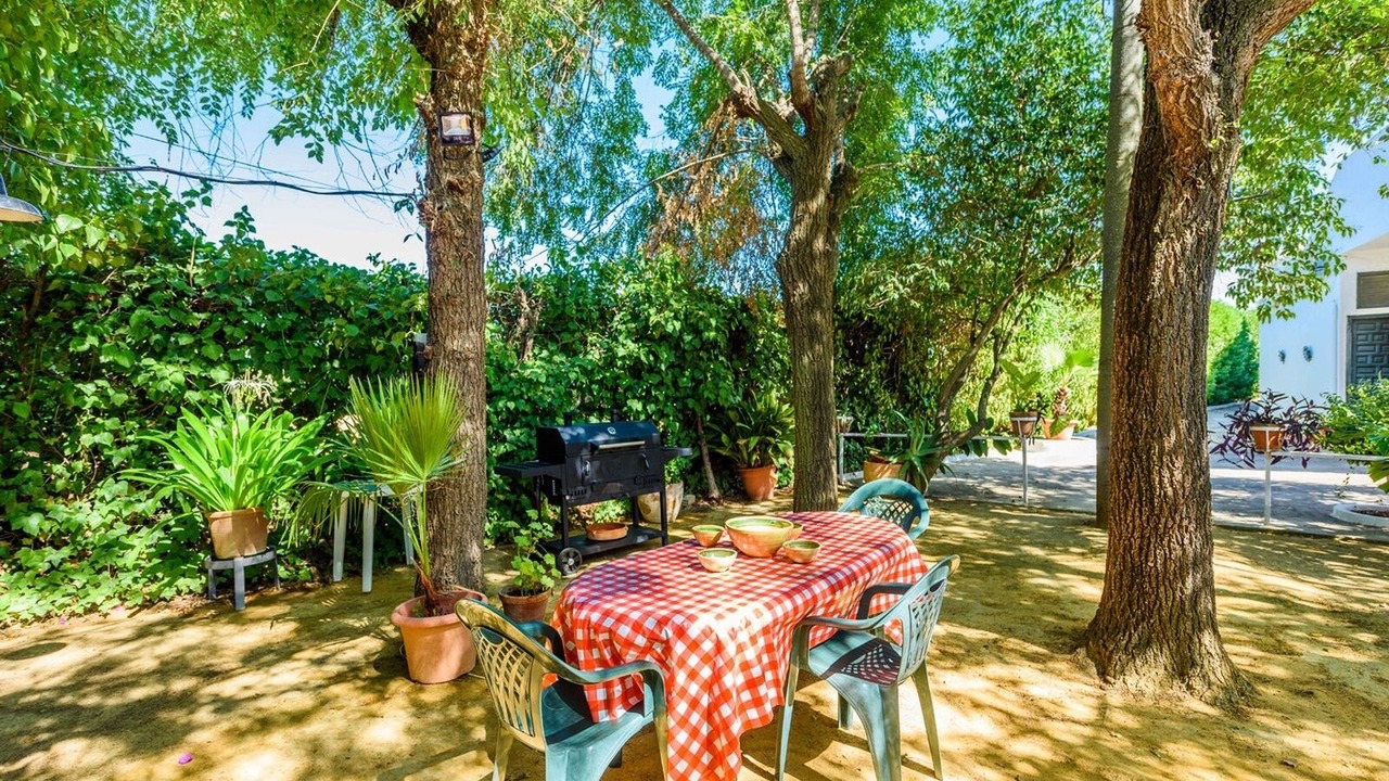 Photo of Outdoor in Marchena