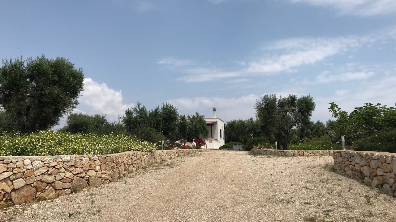 Photo of Outdoor in Patu