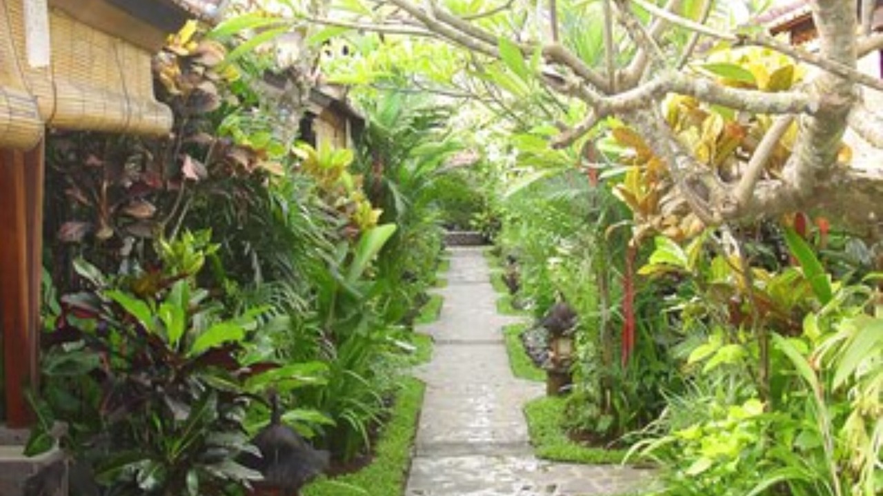 Photo of Outdoor in Petitenget