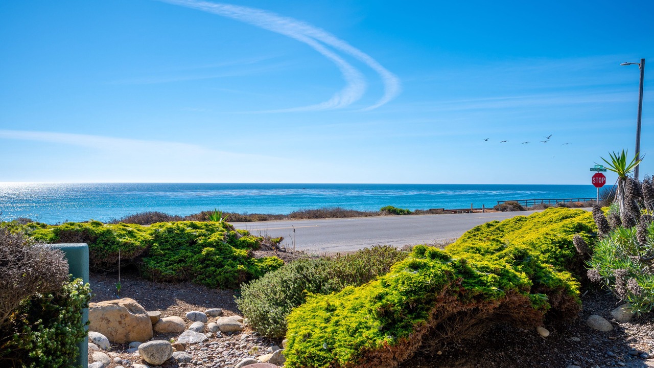 Photo of Others in San Simeon
