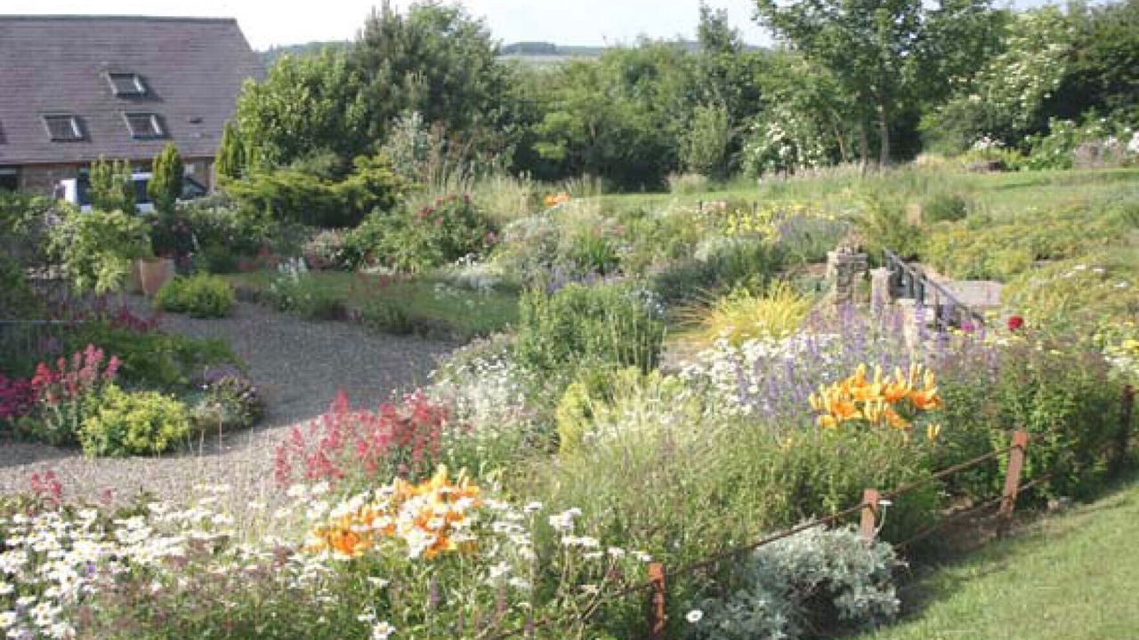 Photo of Outdoor in Llandysul