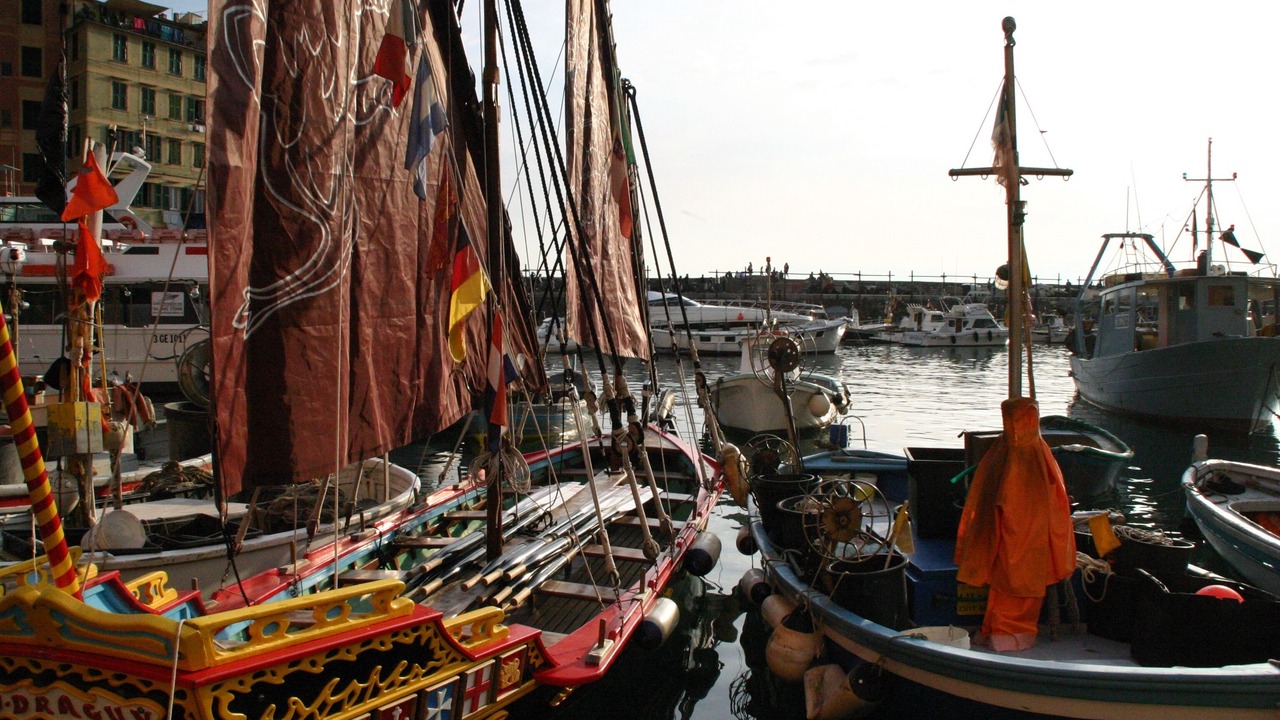 Photo of Others in Camogli