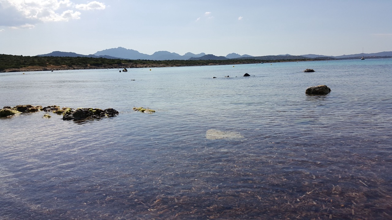 Photo of Others in Golfo Aranci