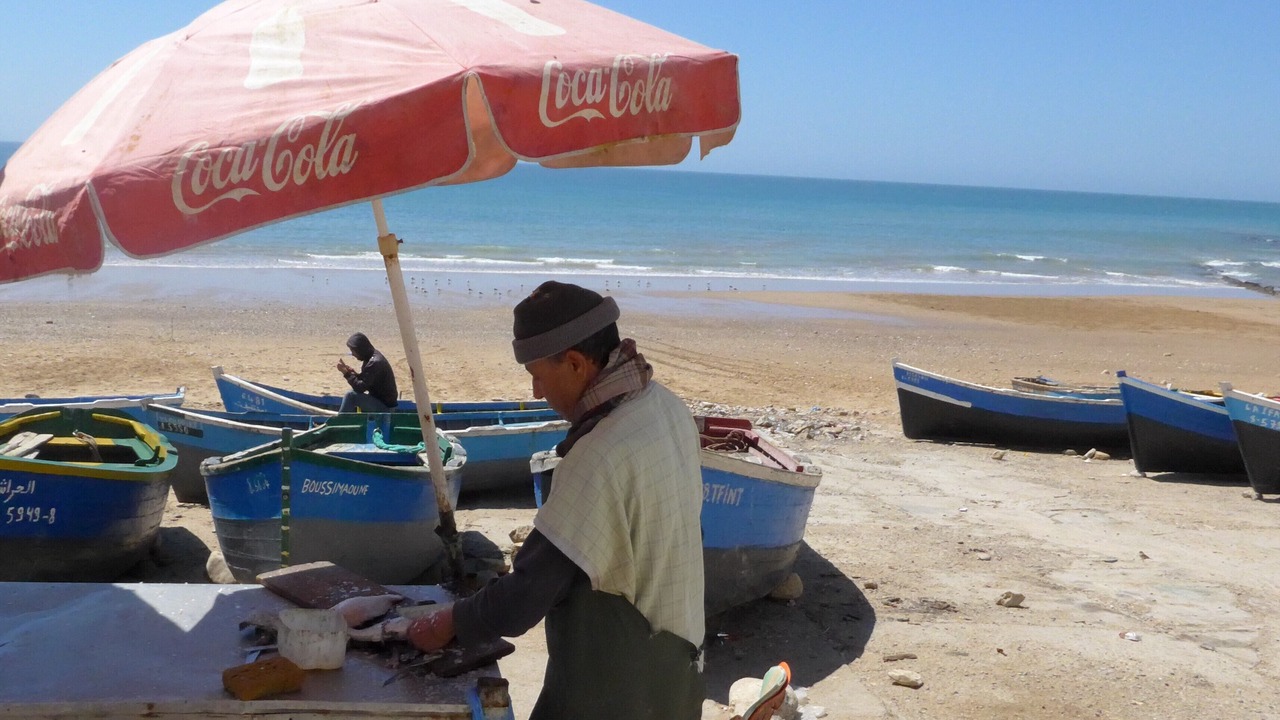 Photo of Others in Taghazout