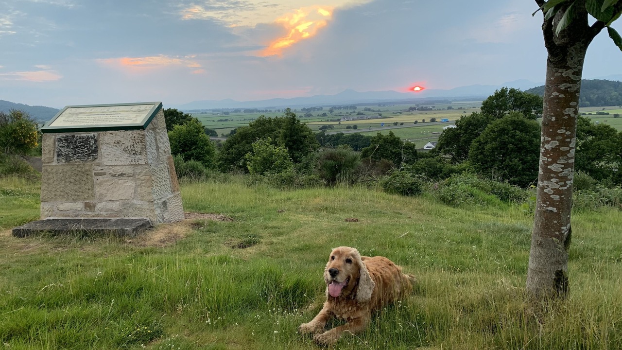 Photo of Outdoor in Cambusbarron