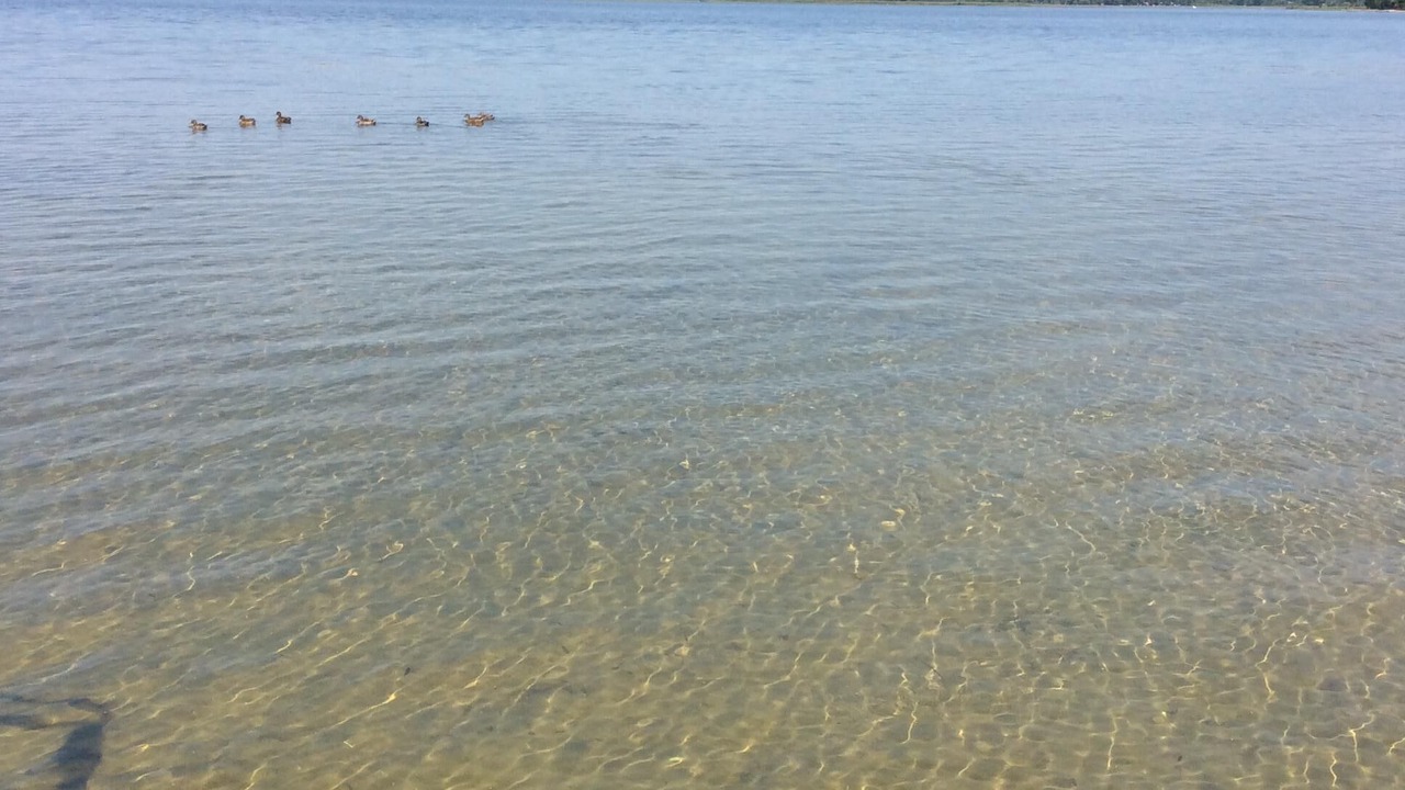 Photo of Outdoor in Wind Lake