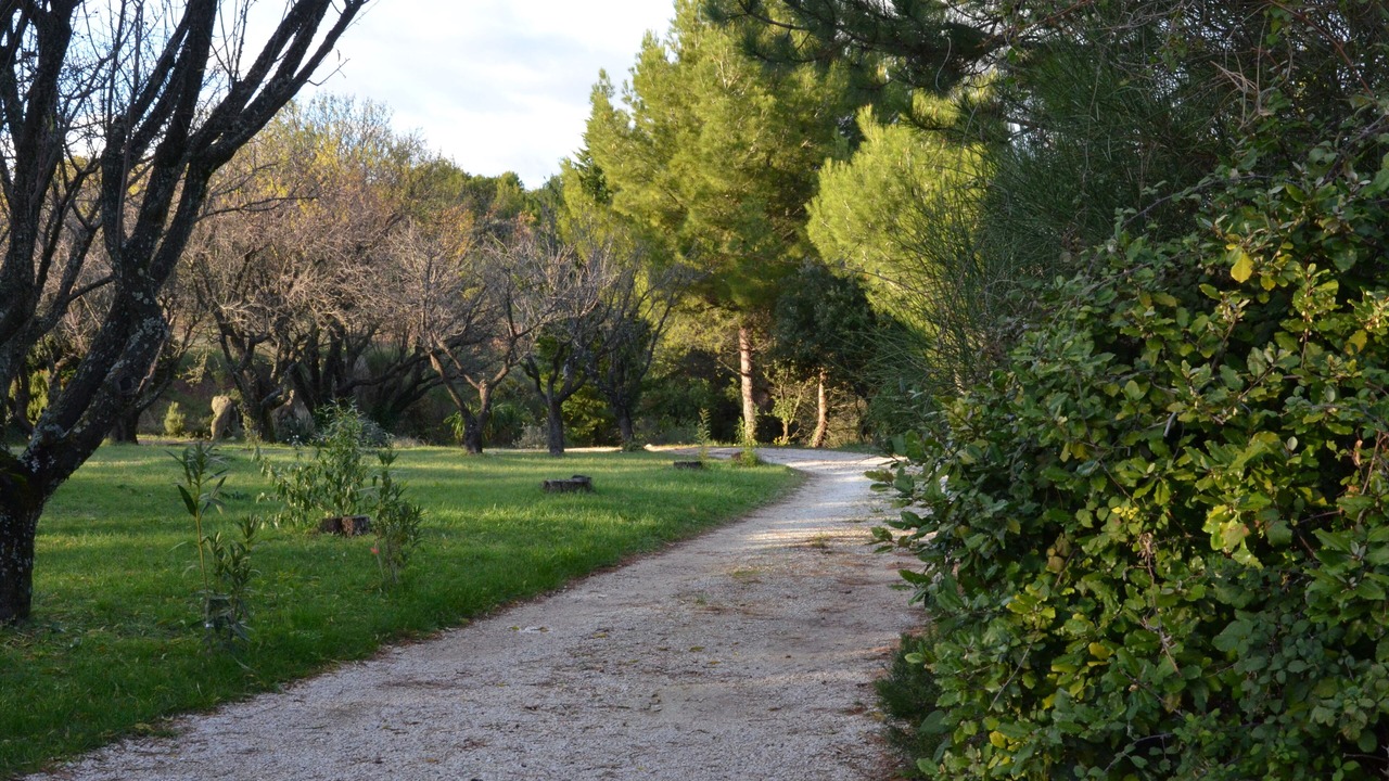 Photo of Outdoor in Mormoiron