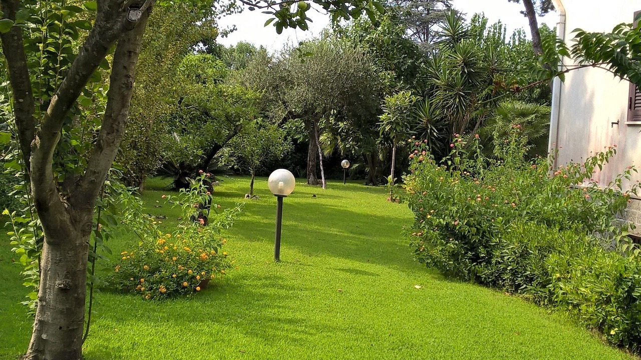 Photo of Outdoor in Colonia Elena