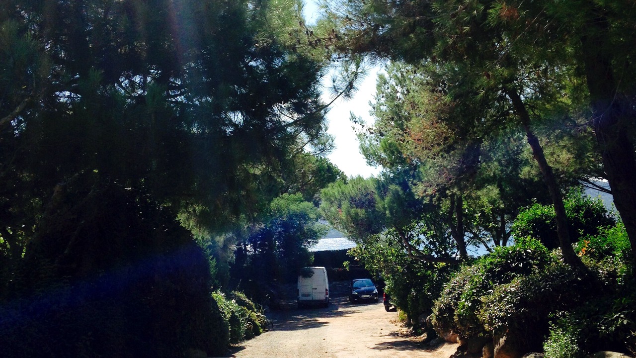 Photo of Others in Cala Rossa