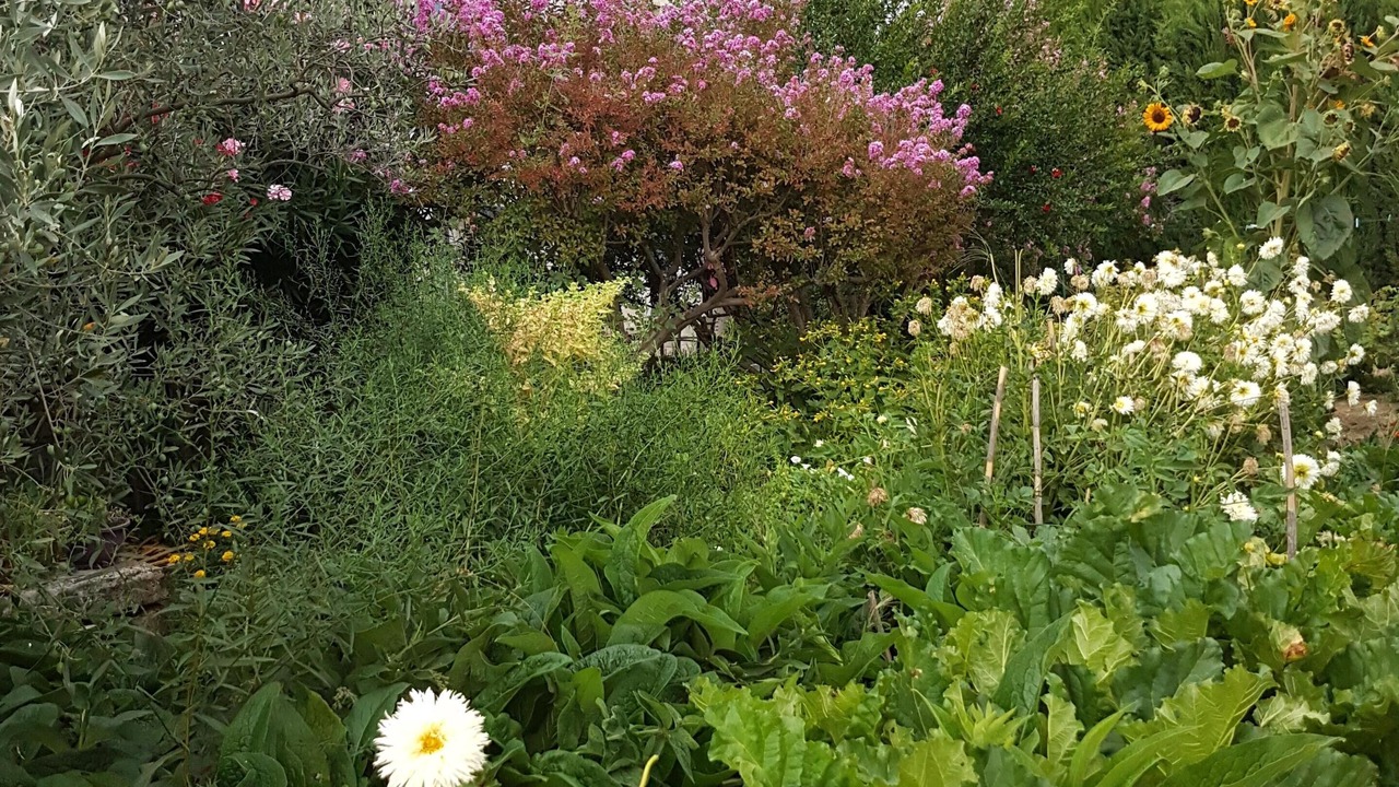 Photo of Outdoor in Vaison-la-Romaine