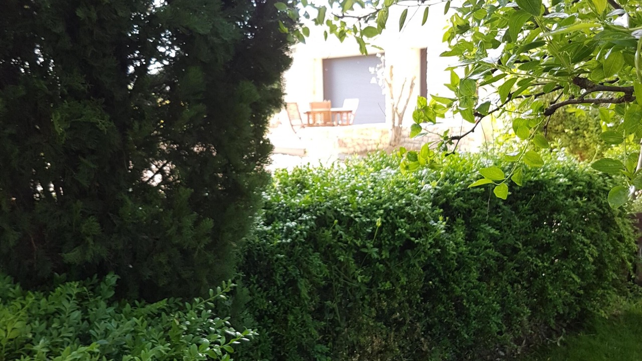 Photo of Outdoor in Vaison-la-Romaine