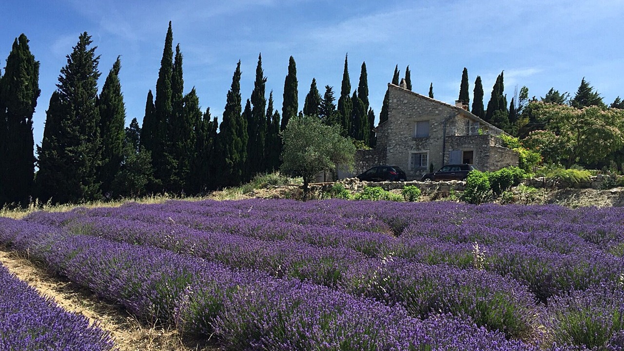 Photo of Outdoor in La Garde-Adhemar
