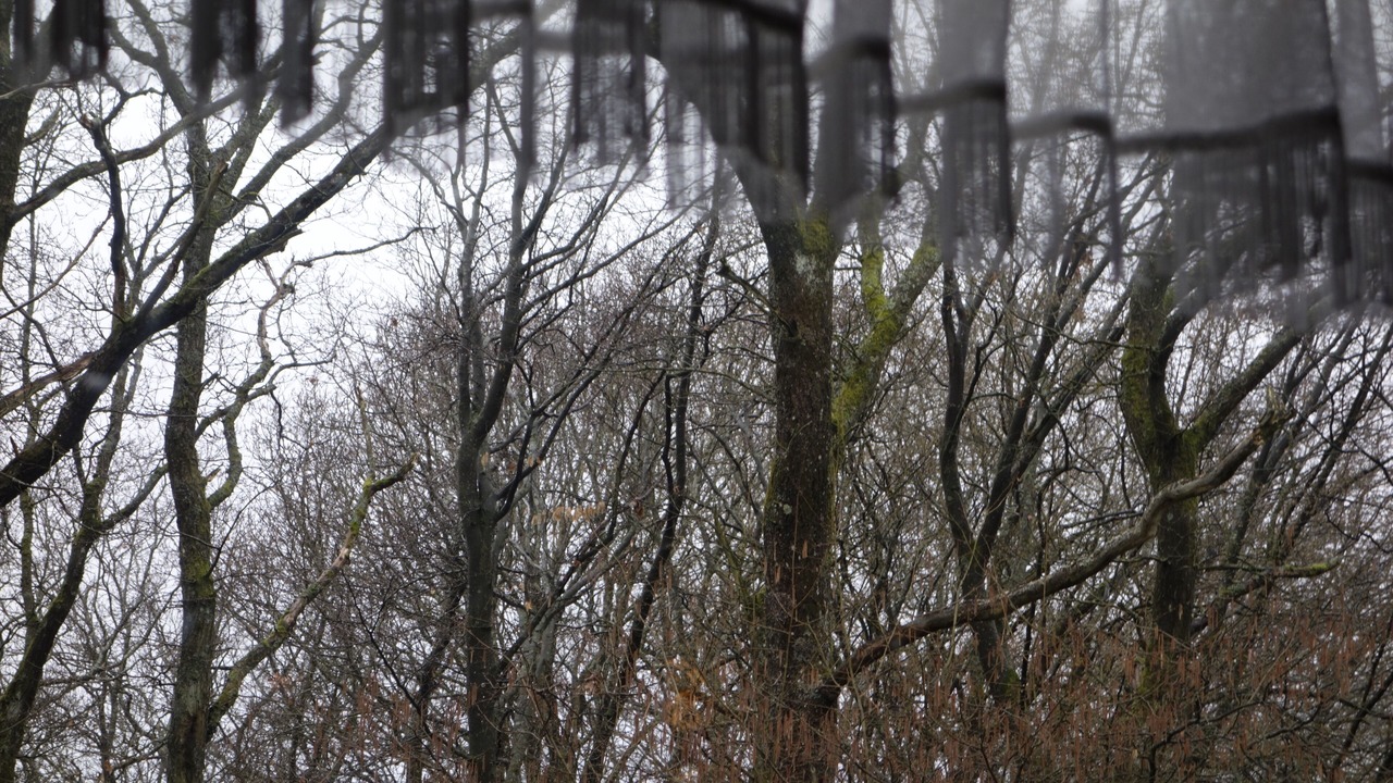 Photo of Outdoor in Haag
