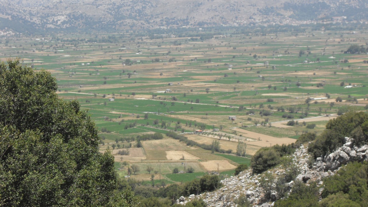 Photo of Others in Mavrikiano