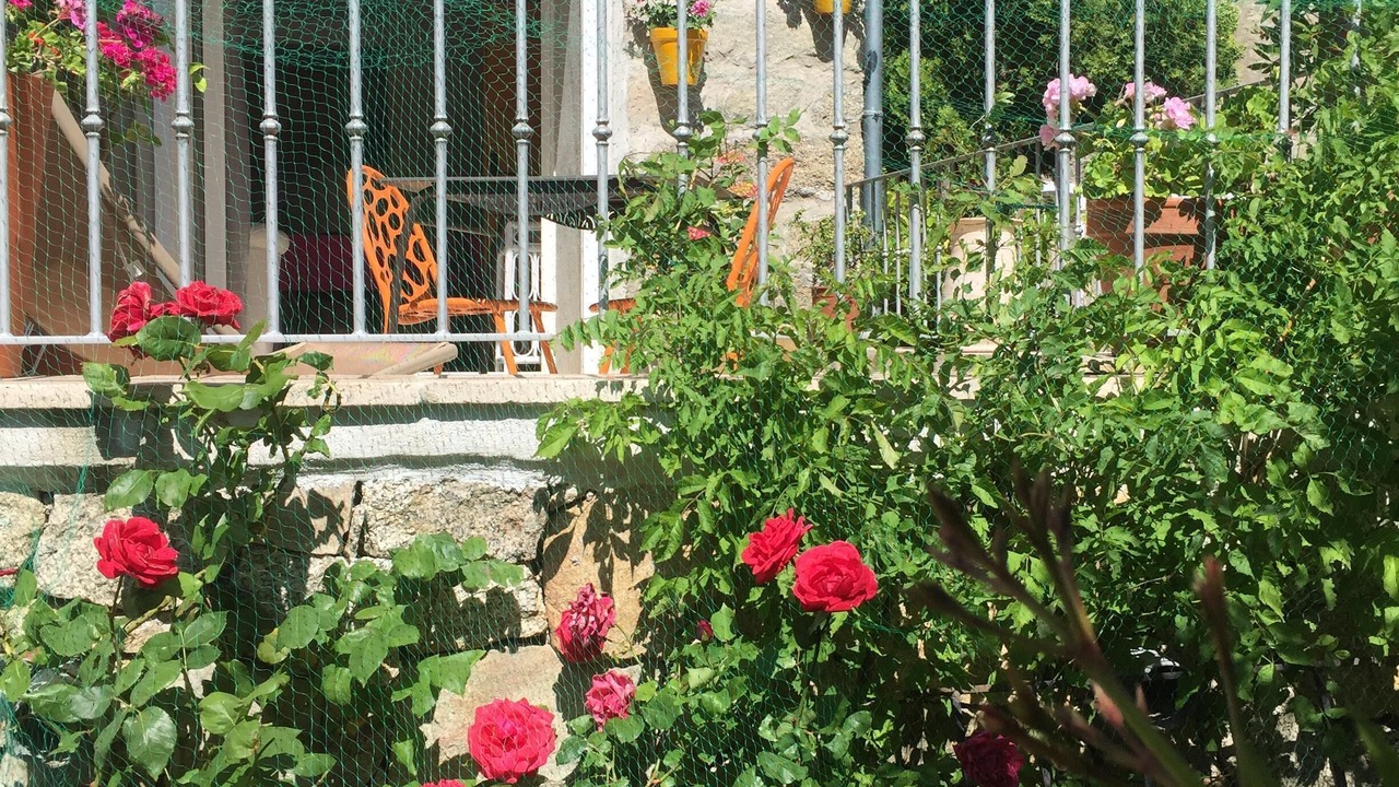 Photo of Outdoor in Sainte-Lucie-de-Tallano