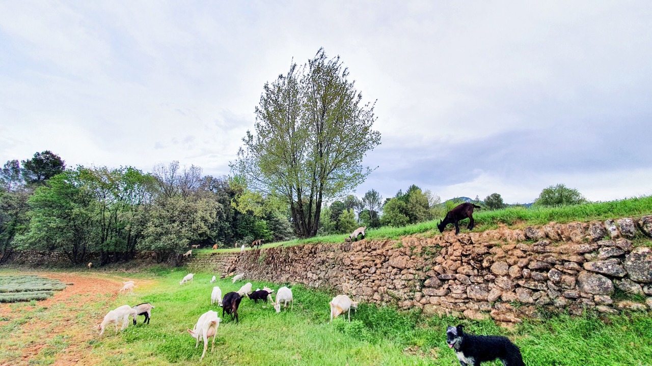 Photo of Others in Jouques
