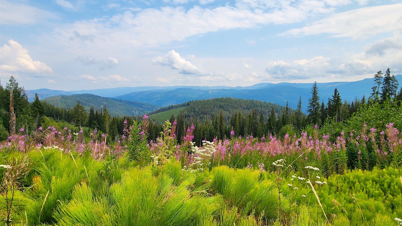 Photo of Outdoor in Okanagan-Similkameen
