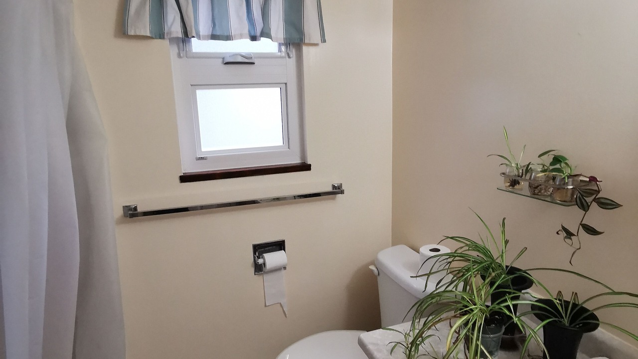 Photo of Bathroom in Dunbar