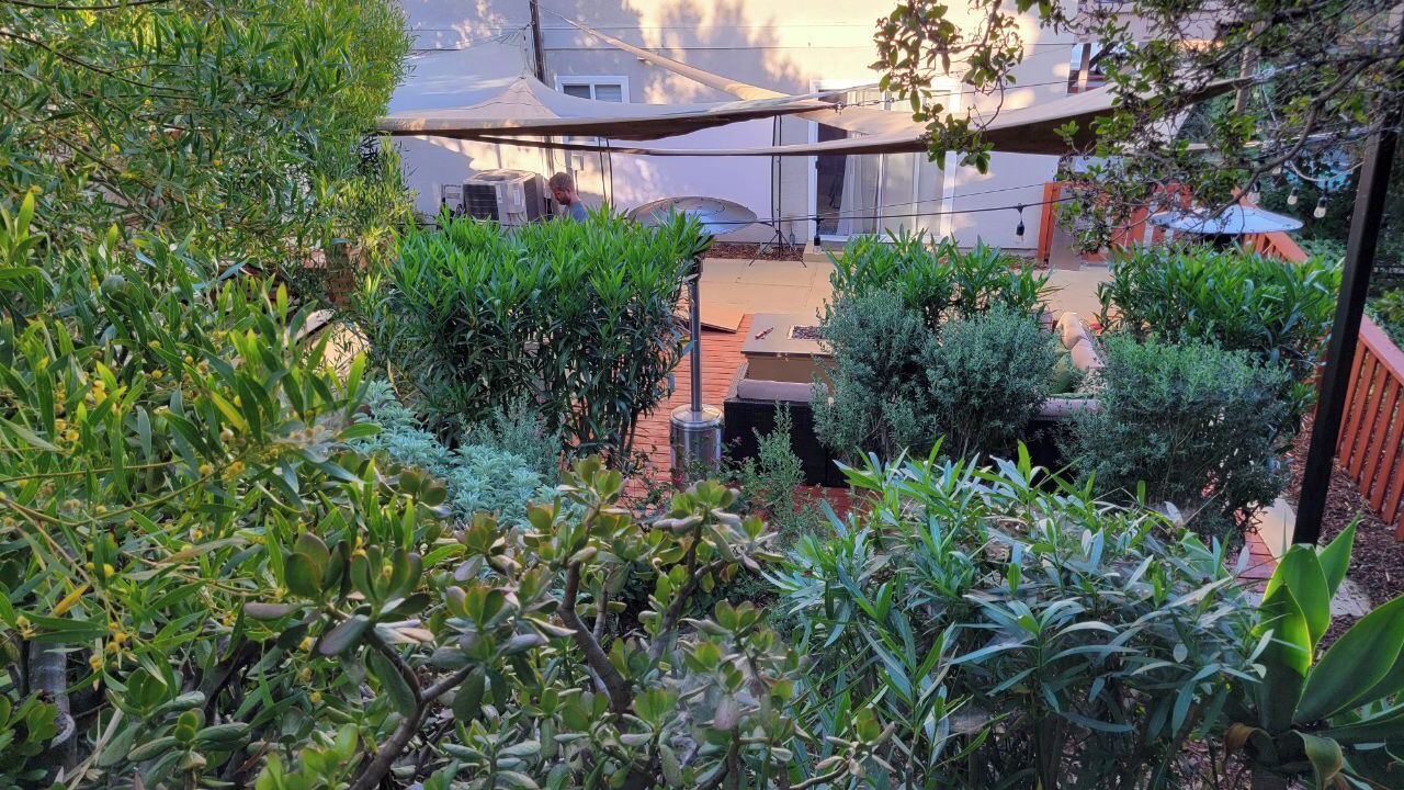 Photo of Outdoor in North Park