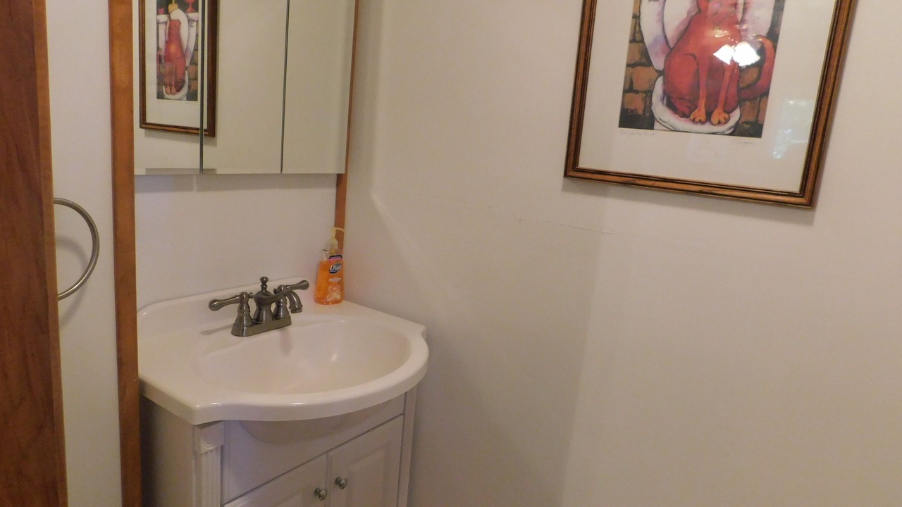Photo of Bathroom in South Casco