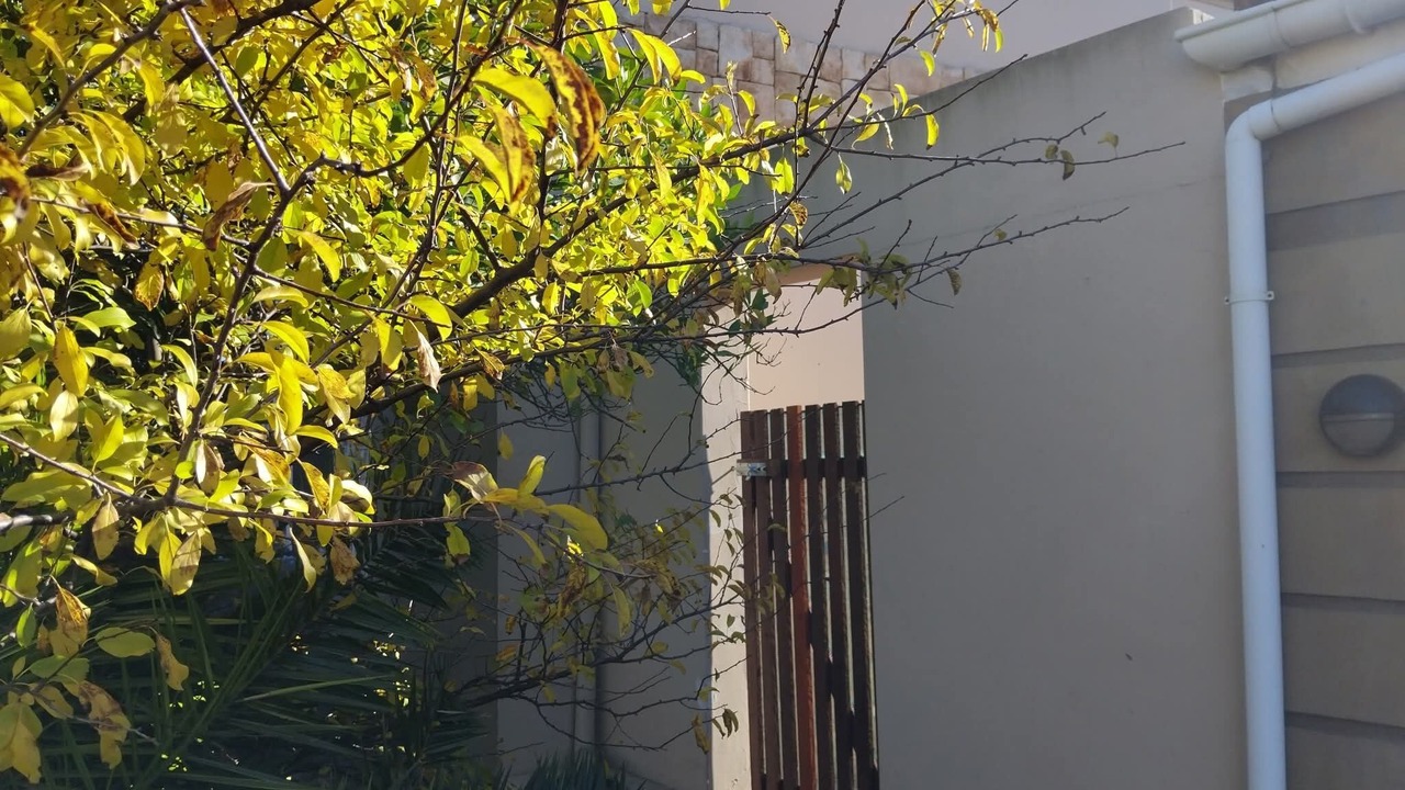 Photo of Outdoor in Kraaifontein