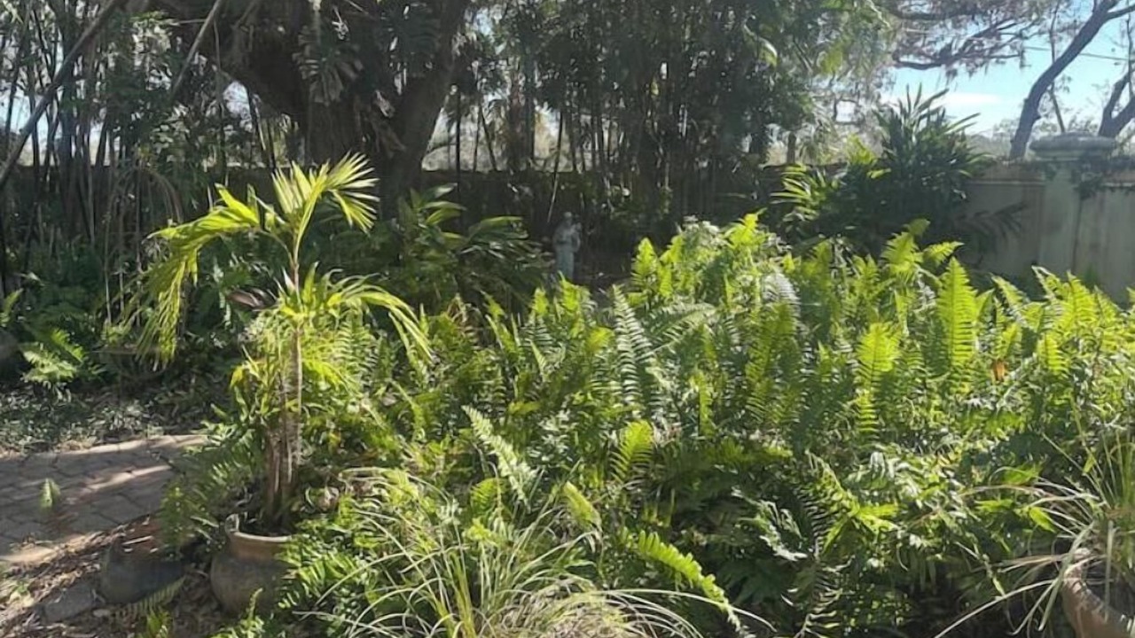 Photo of Outdoor in Lake Sarasota