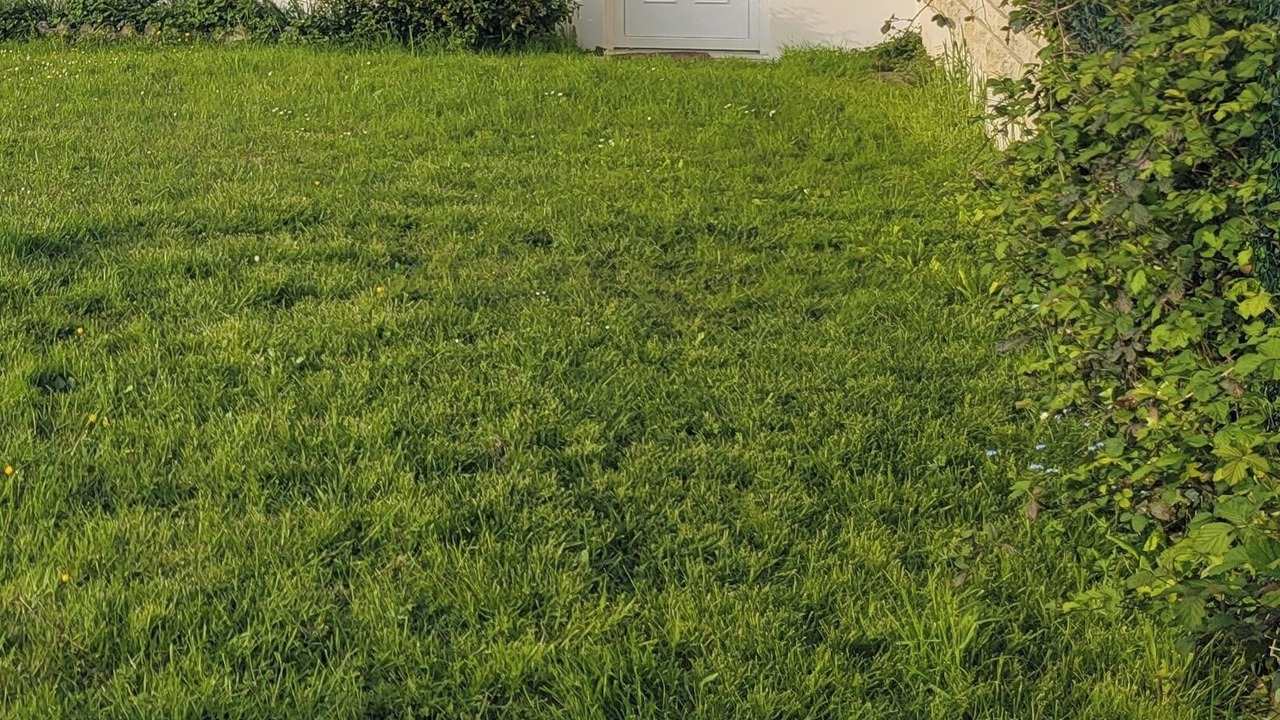Photo of Outdoor in Magny-les-Hameaux