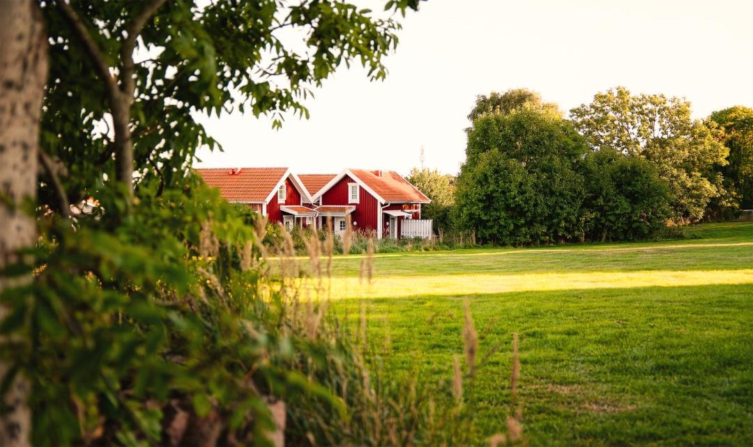 Photo of Others in Apelviken