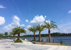 R&F Princess Cove Apartment by SC Homestay