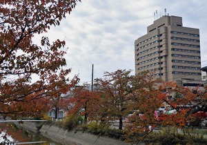 Hotel New Otani Nagaoka