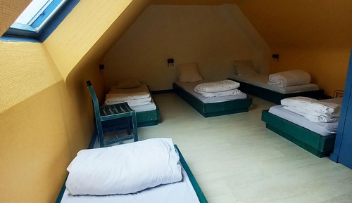Bed in 5-Bed Male Dormitory - Shared Bathroom