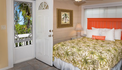 Bird of Paradise Suite